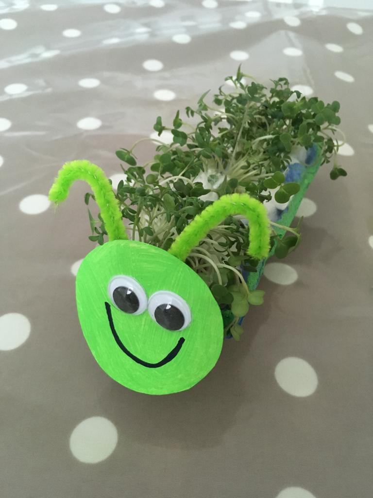 Cress Caterpillar