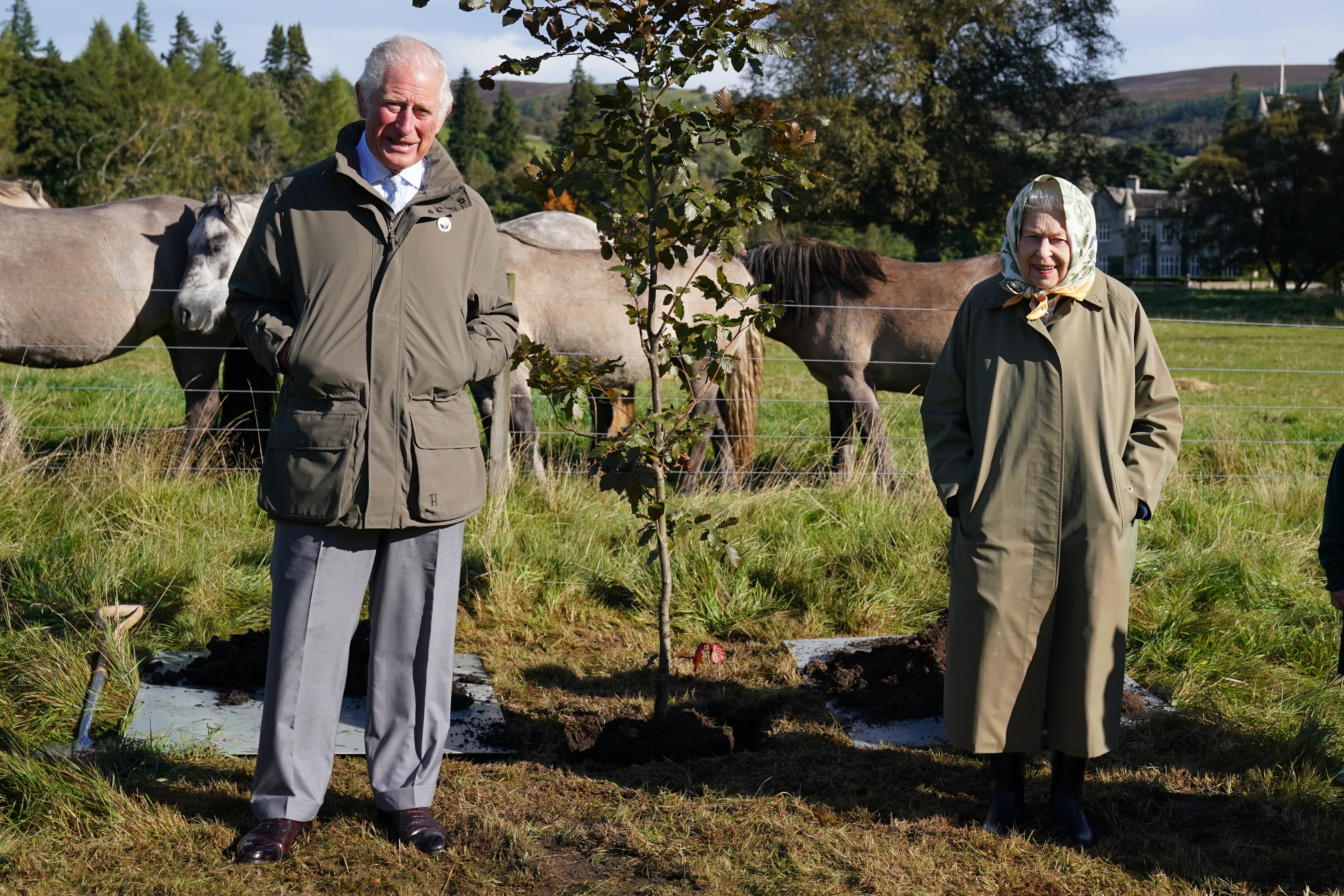 The Prince and The Duchess plant a tree for the Queen's Green Canopy