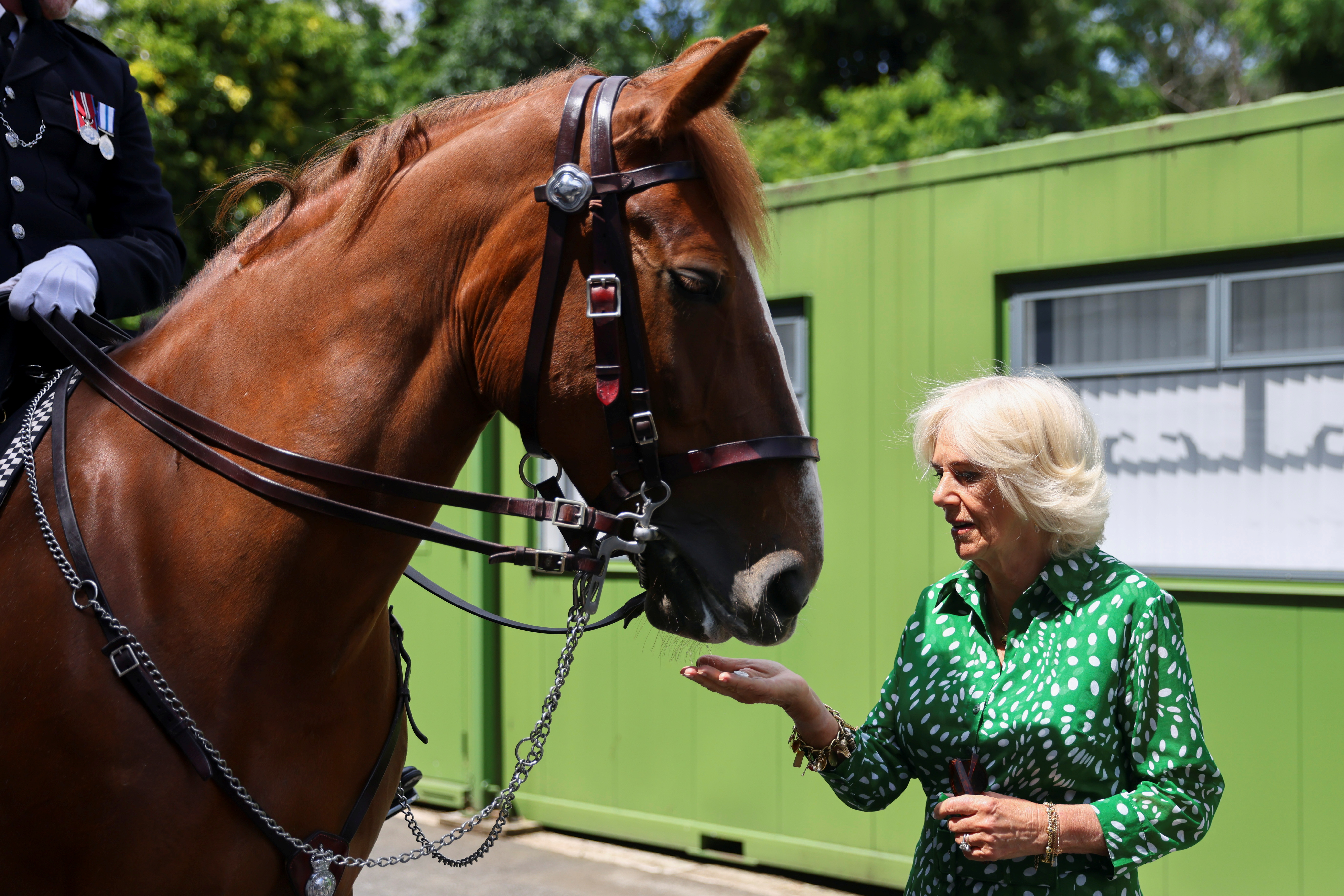 The Duchess of Cornwall during a visit to Hyde Park, London, to thank the Royal Parks staff