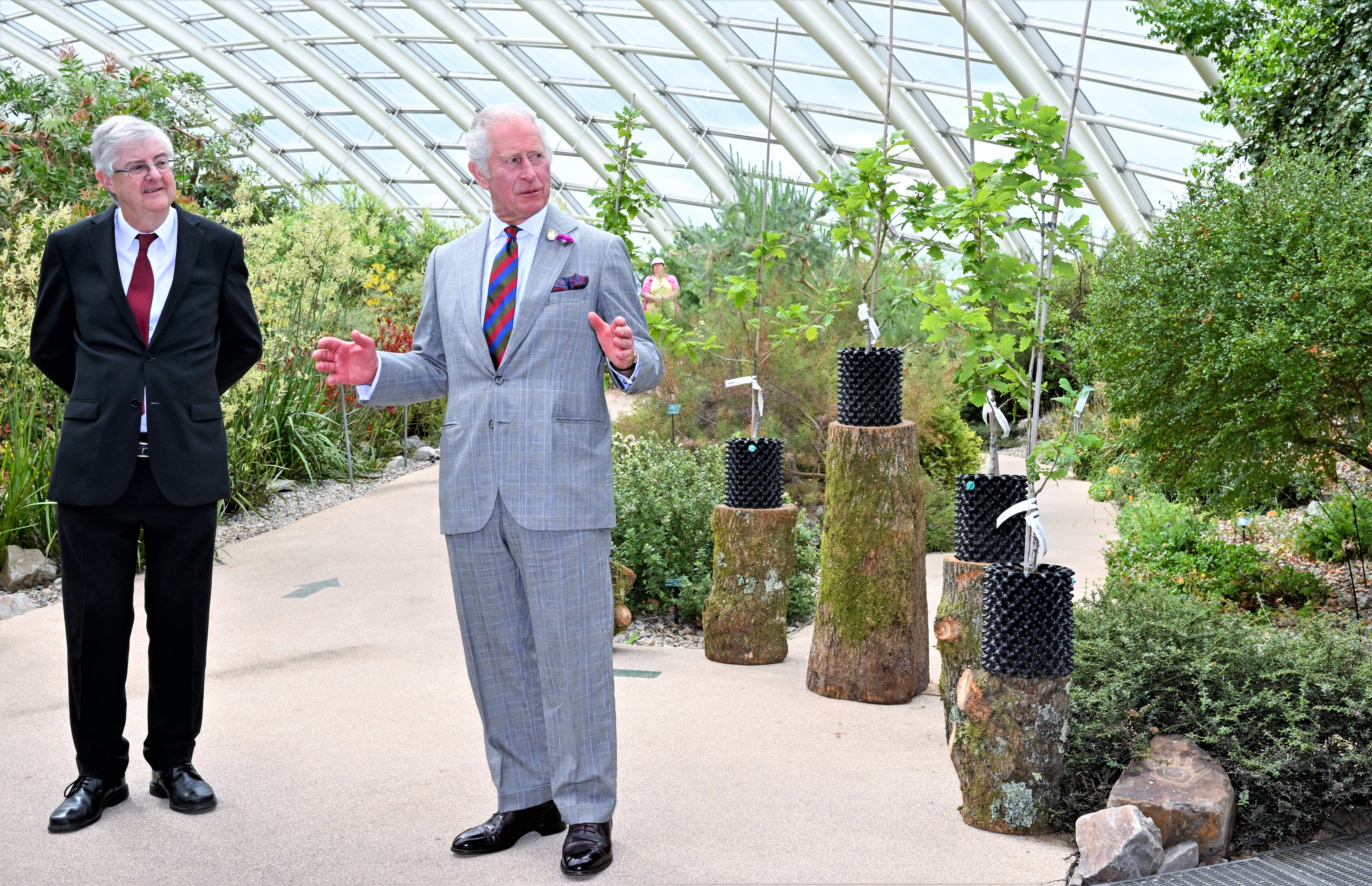 The Prince of Wales with oak samplings at National Botanic Gardens of Wales