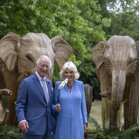 The King and Queen attend the Animal Ball