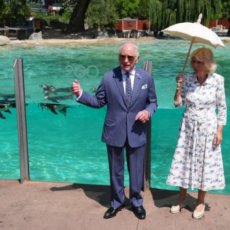 The King and Queen visit Penguin Beach at London Zoo