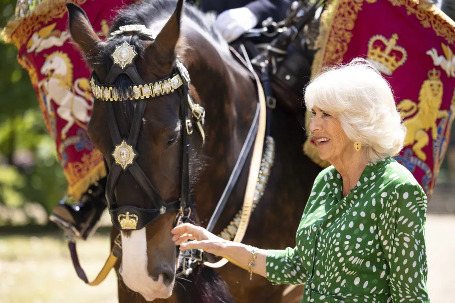 The Queen officially names the new Household Cavalry Drum Horse