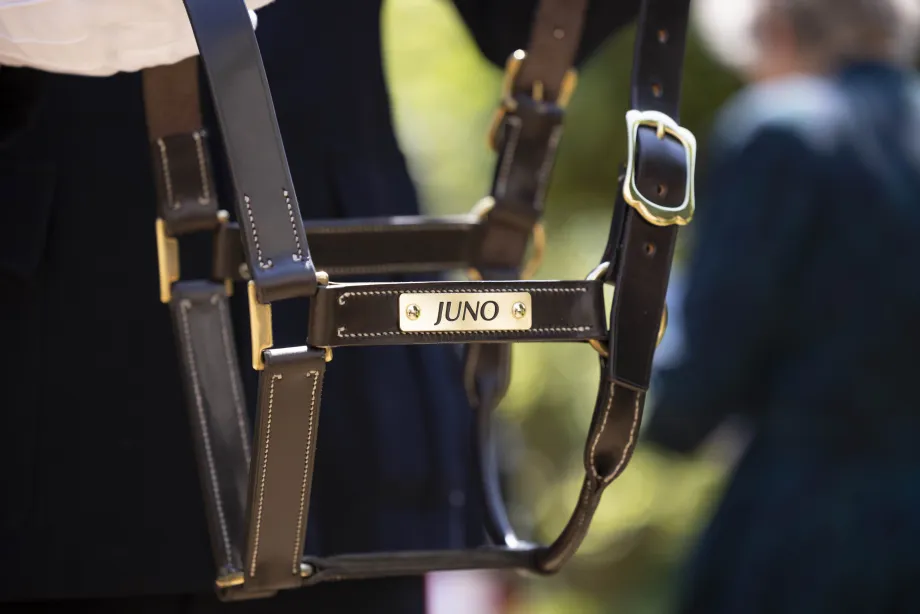 The Queen officially names the new Household Cavalry Drum Horse