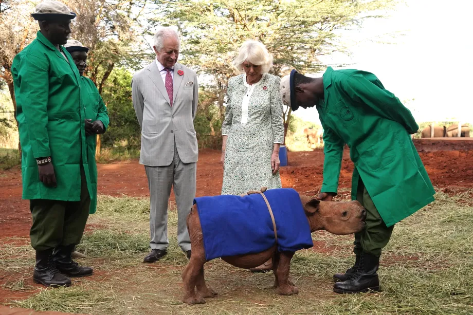 The King and Queen at Sheldrick Wildlife Trust Elephant Orphanage