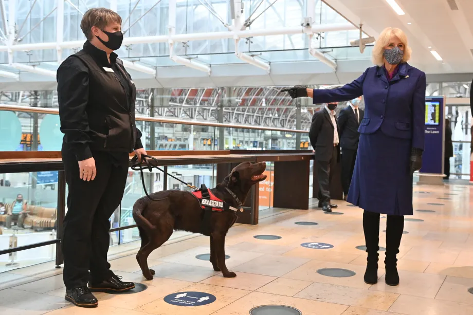 The Duchess of Cornwall at London Paddington