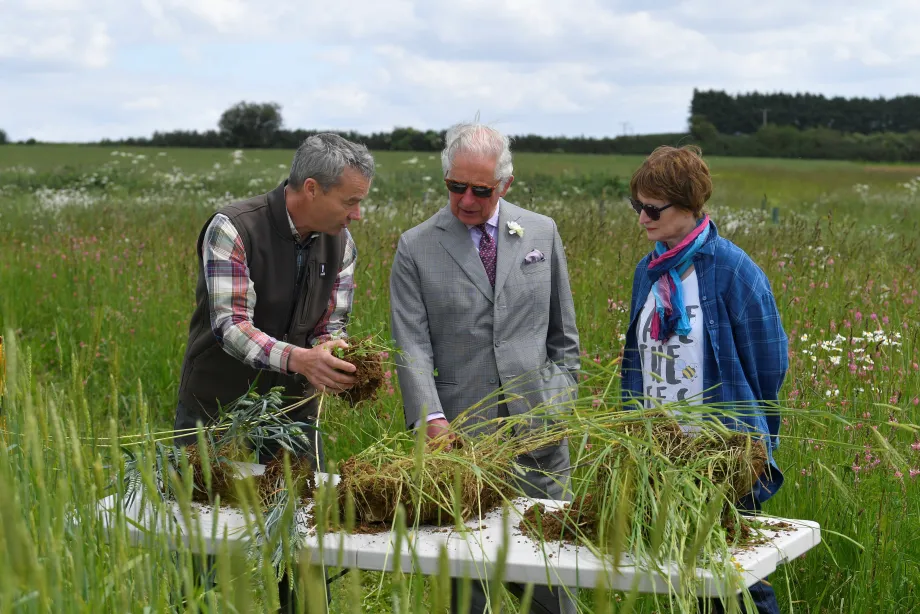 The King looks at soil