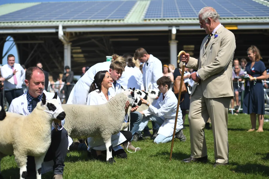 The King with sheep