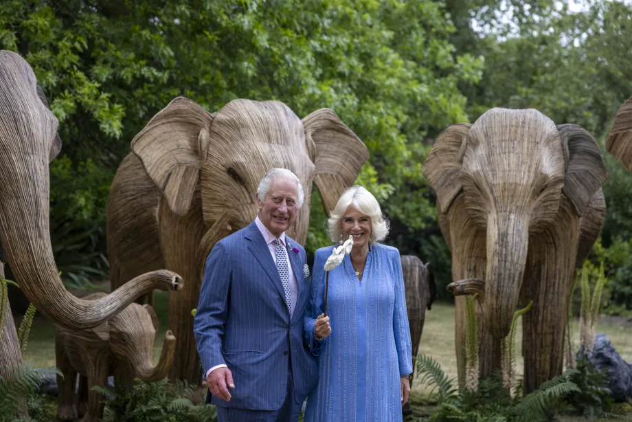 The King and Queen at the Animal Ball