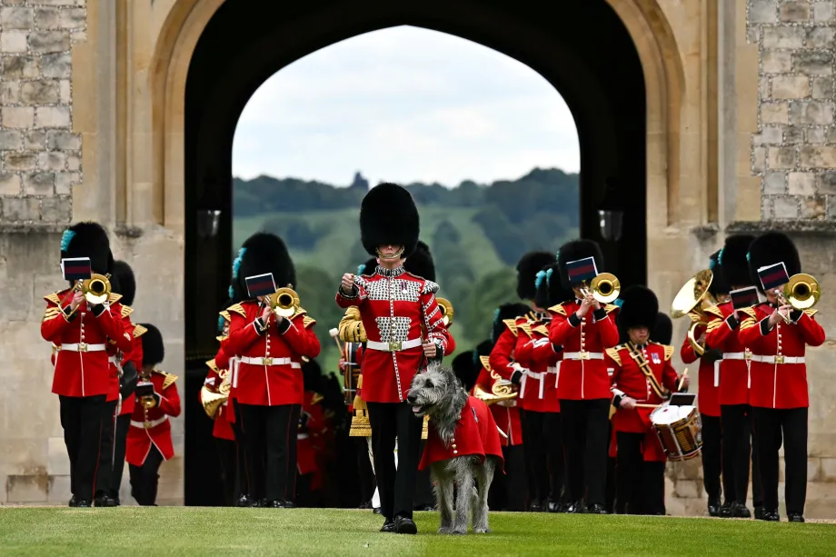 The No. 9 and No. 12 Company The Irish Guards