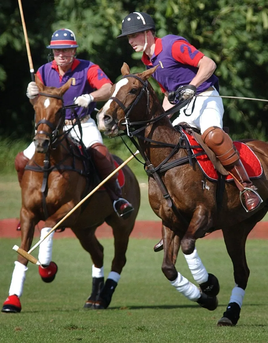 The then Prince of Wales and Prince William The Prince of Wales and Prince William compete in the Highgrove team for the Calcot Manor Hotel Cup at the Beaufort Polo Club