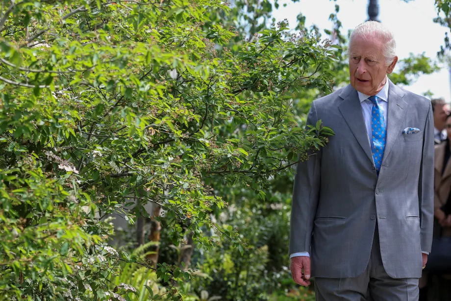 The King at The Thames Tideway Project