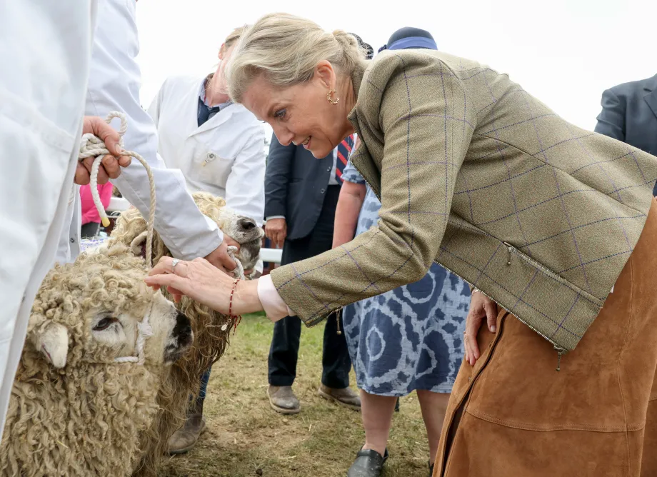 The Duchess of Edinburgh strokes a sheep at the Cattle, Pig, Sheep and countryside area at the Royal Cornwall Show