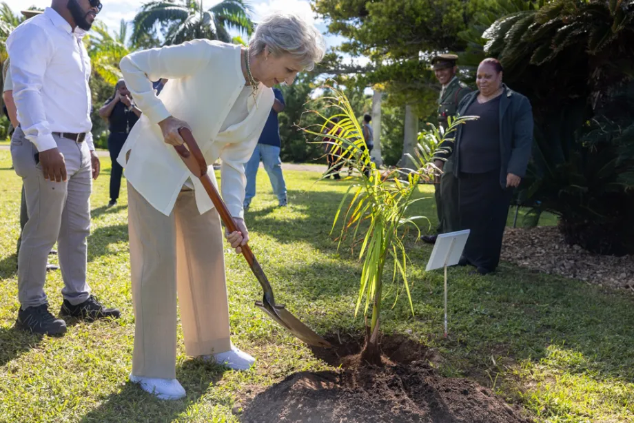 The Duchess of Gloucester plants a tree in Bermuda