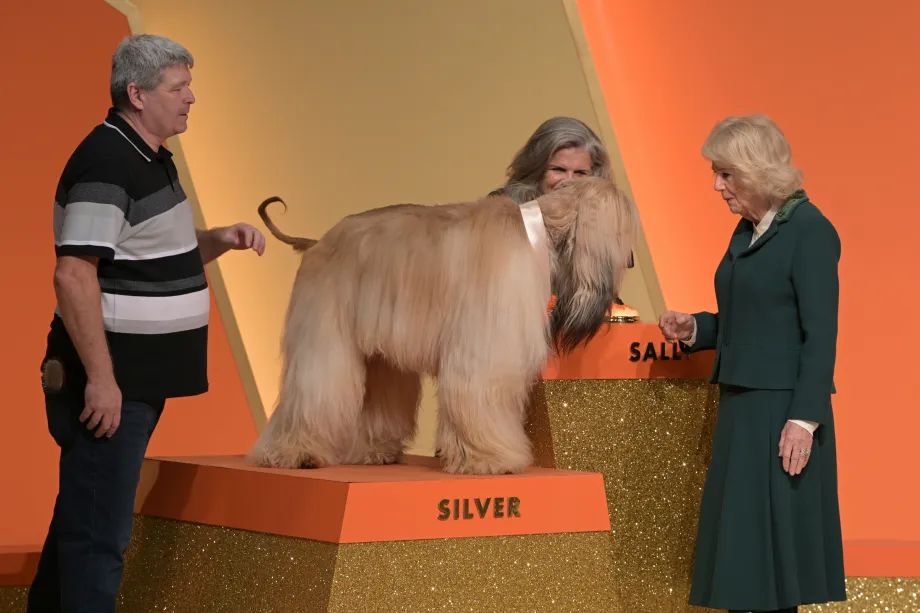 The Queen meets a dog on the set of Rivals