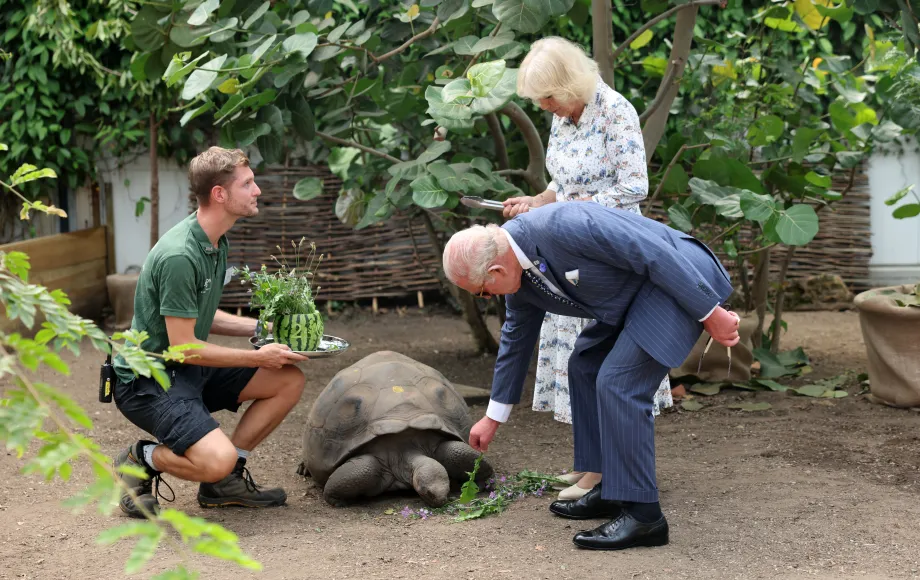 The King and Queen feed "Polly", a Galapagos Turtle