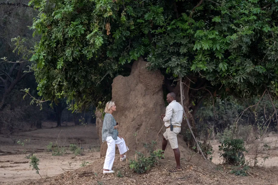 The Duchess on a tour of the ecosystem of Lower Zambezi National Park