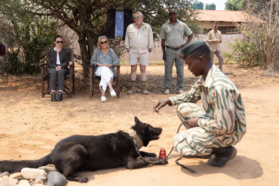The Duchess watches a demonstration by the canine detection team