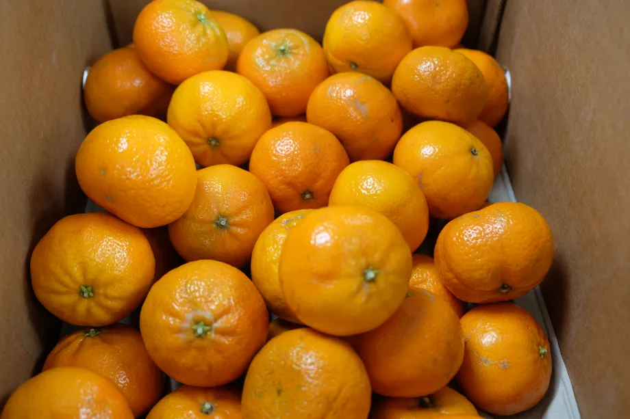 Orange desserts created in the Royal Kitchens 