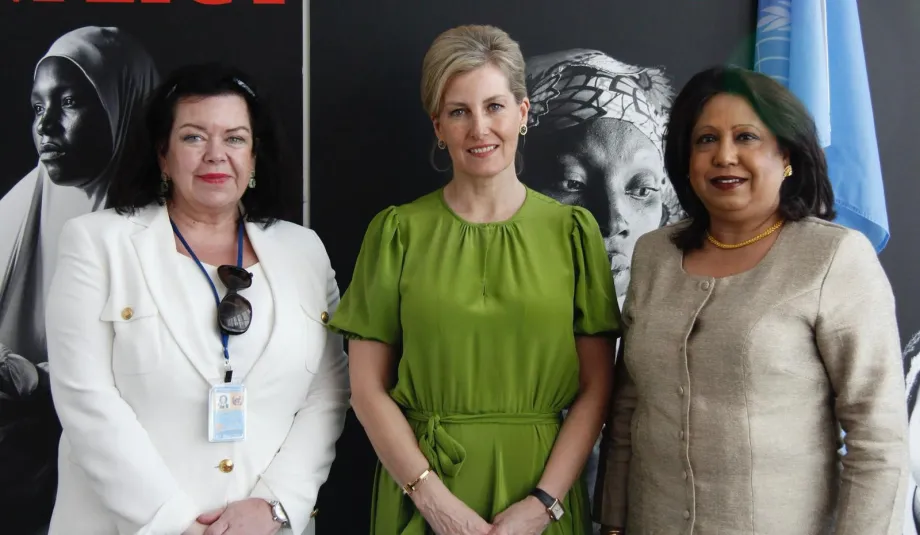 meeting-with-pramila-patten-un-special-representative-on-sexual-violence-in-conflict-cropped.jpg