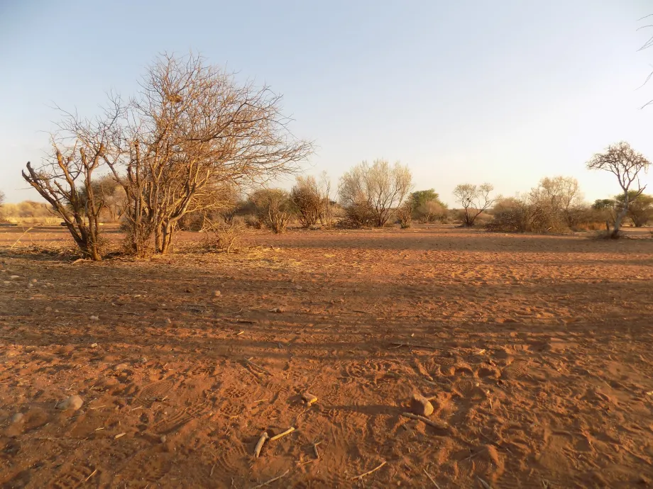 Namibia