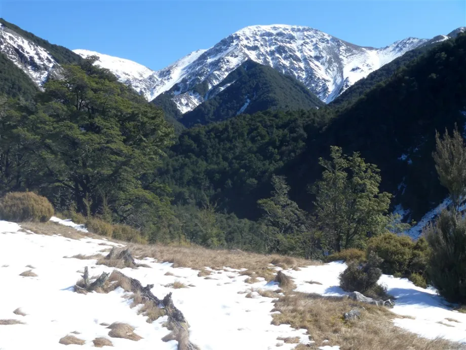 New Zealand