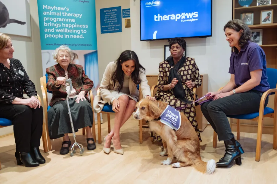 the Duchess of Sussex mayhew