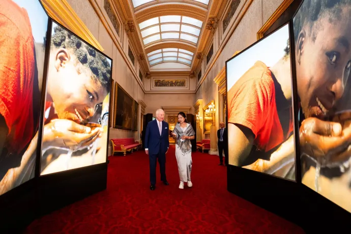 The King at a reception for WaterAid