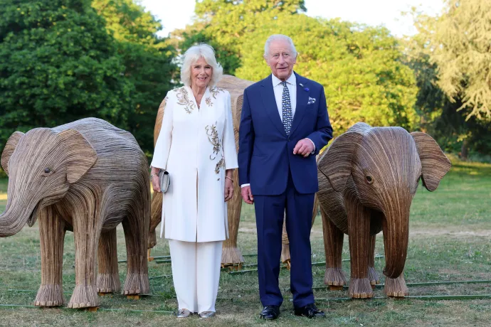 The King and Queen at the Elephant Family event