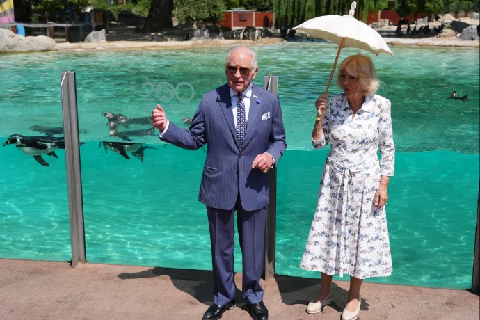 The King and Queen visit Penguin Beach at London Zoo