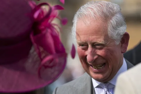The King speaks to a guest at a Garden Party
